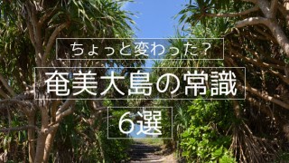 奄美大島のちょっと変わった常識 6選